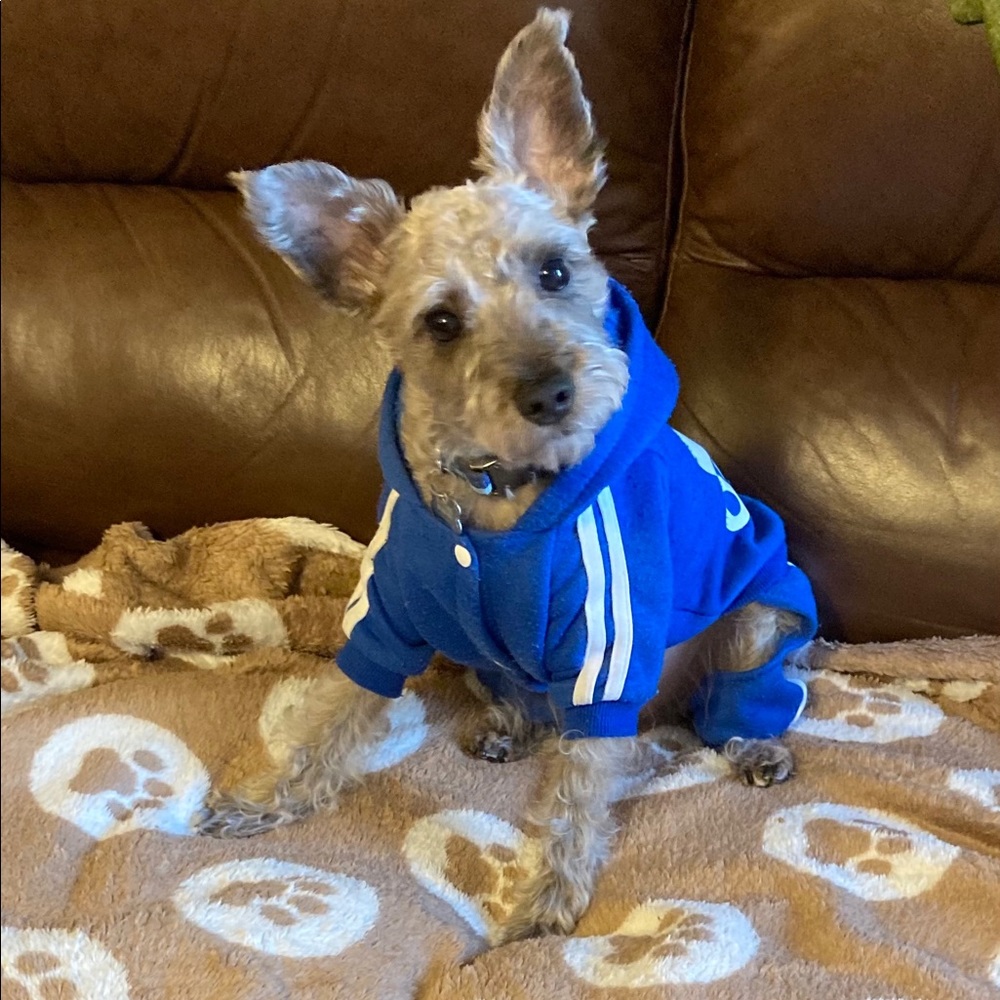 Meet your Posher, Jason